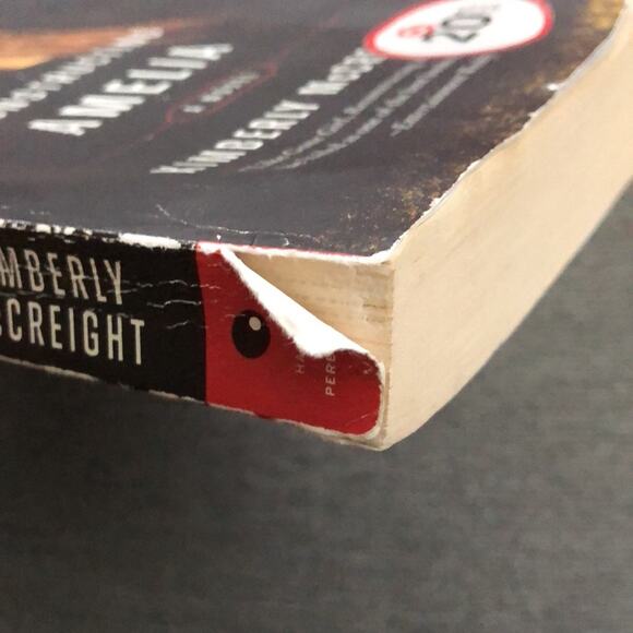 Reconstructing Amelia Paperback Book - Picture 2 of 3